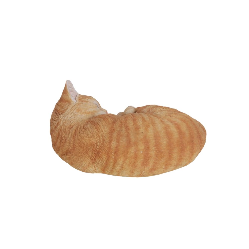 Orange Tabby Cat Sleeping Lying Down