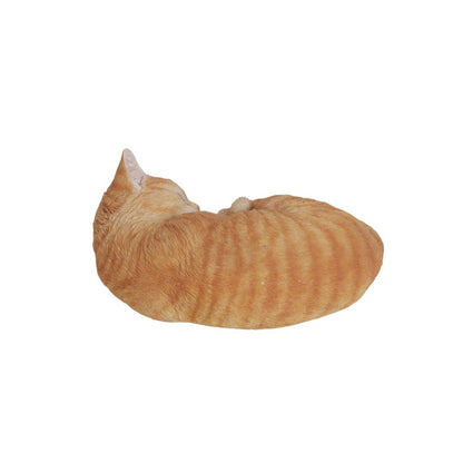 Orange Tabby Cat Sleeping Lying Down