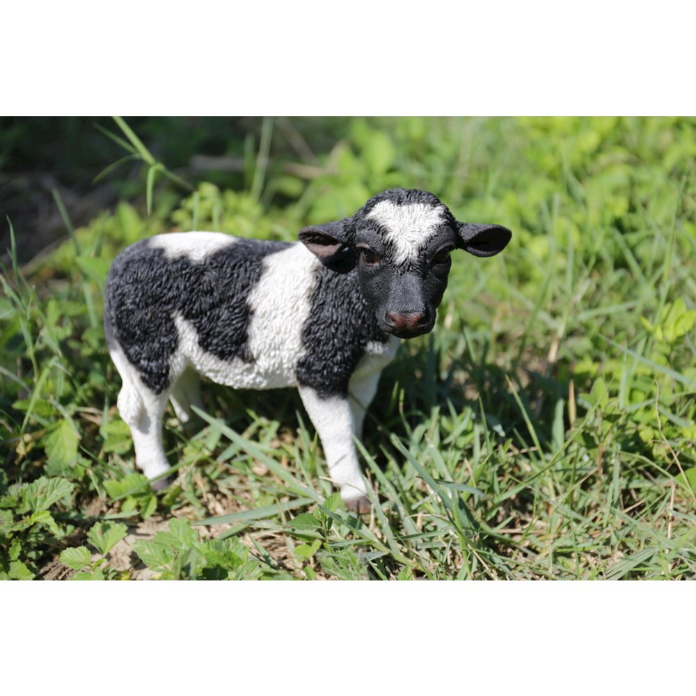 Standing Cow