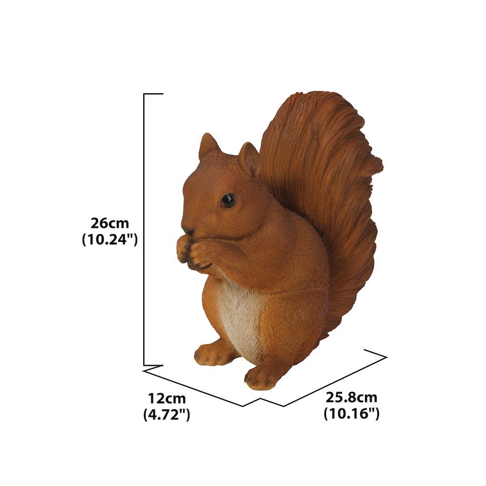 Brown Squirrel Eating