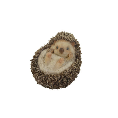 Hedgehog On Its Back