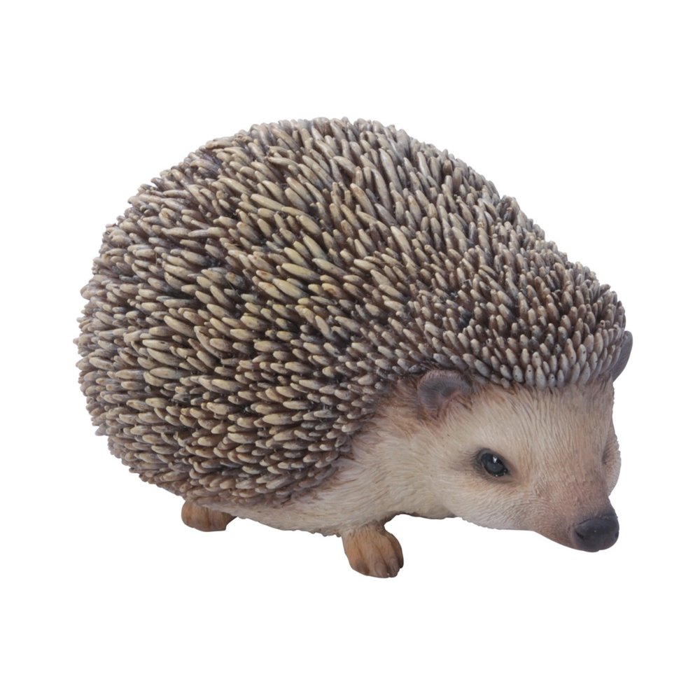 Sitting Hedgehog