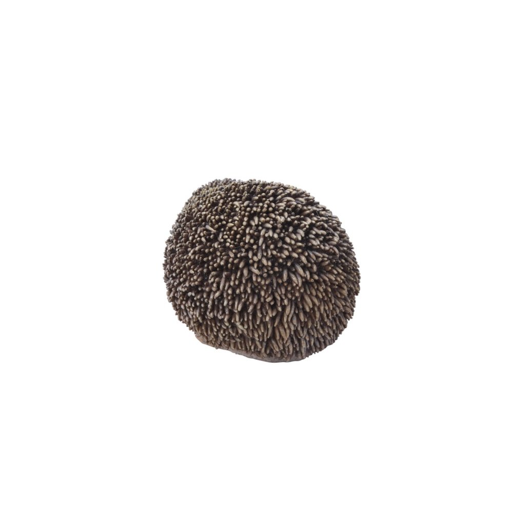 Sitting Hedgehog