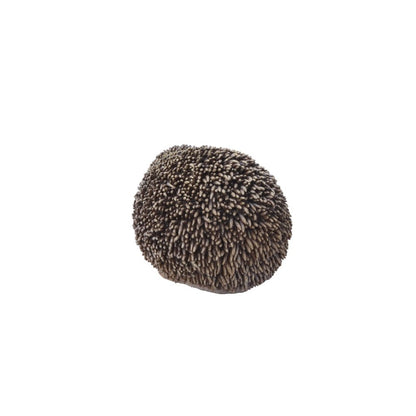 Sitting Hedgehog