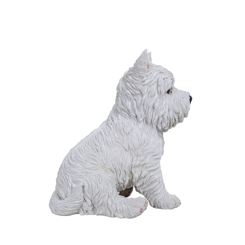 Sitting White Terrier
