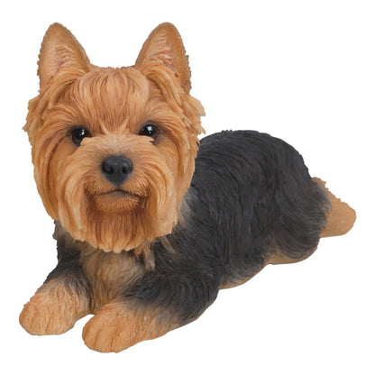 Yorkshire Terrier Lying Down