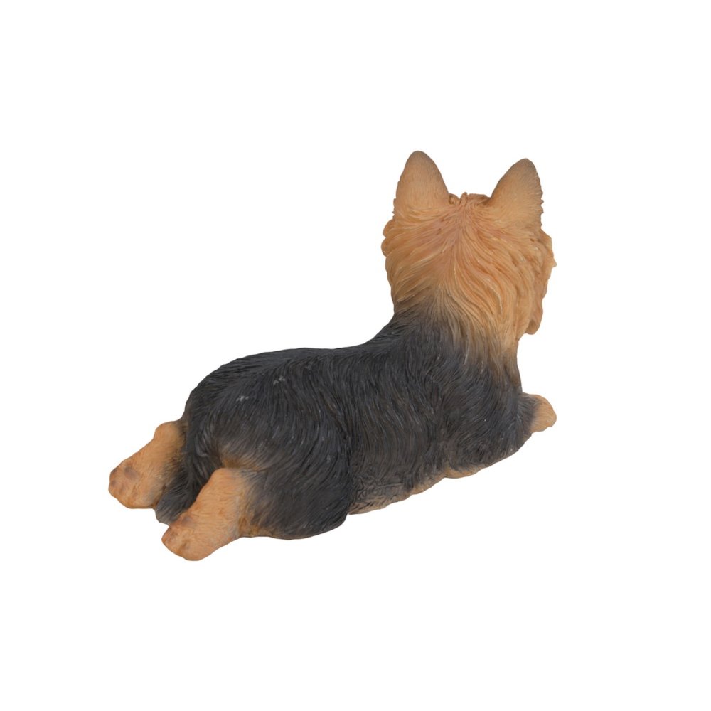 Yorkshire Terrier Lying Down