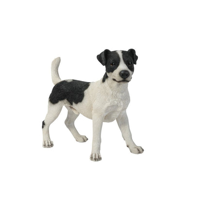 Standing Jack Russell