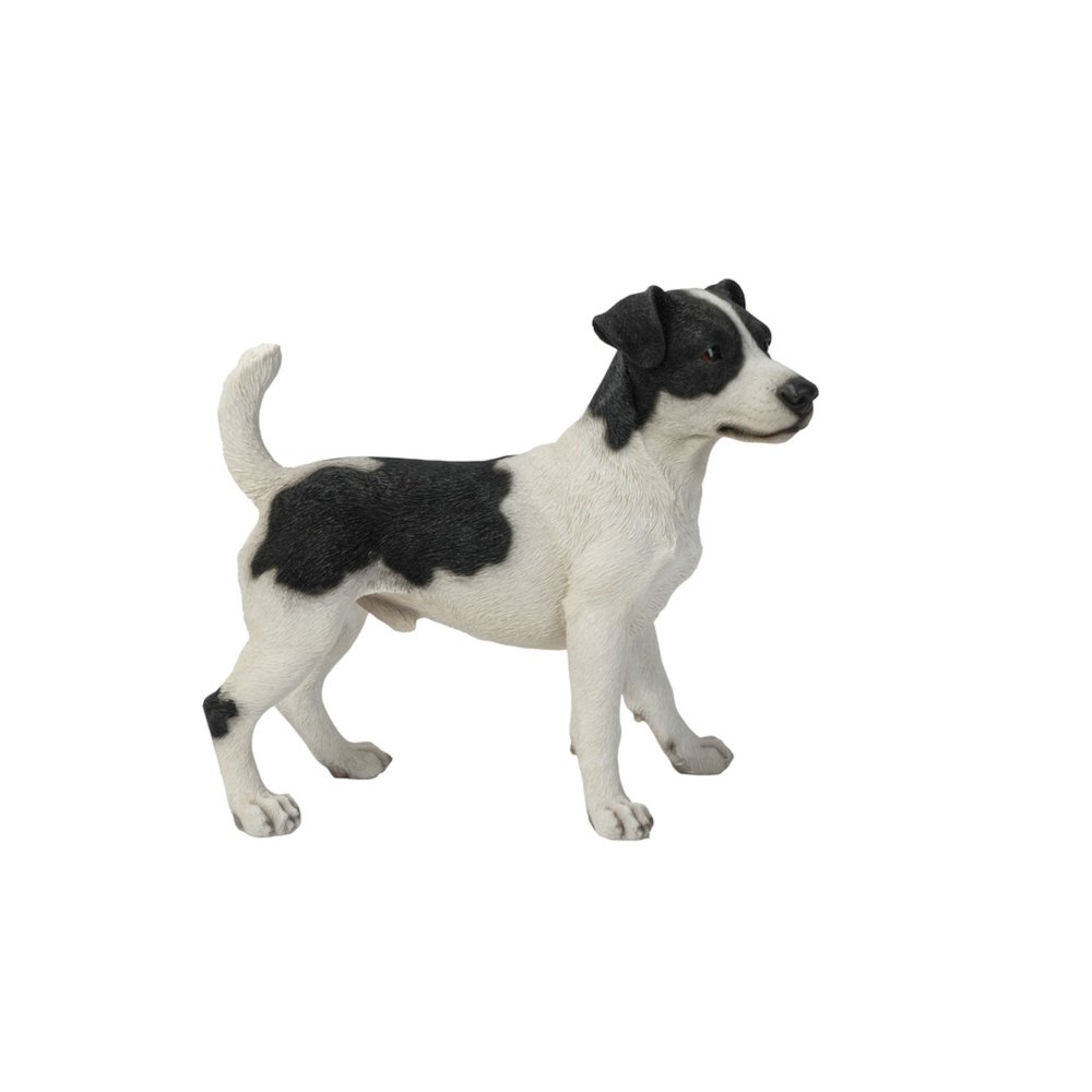 Standing Jack Russell