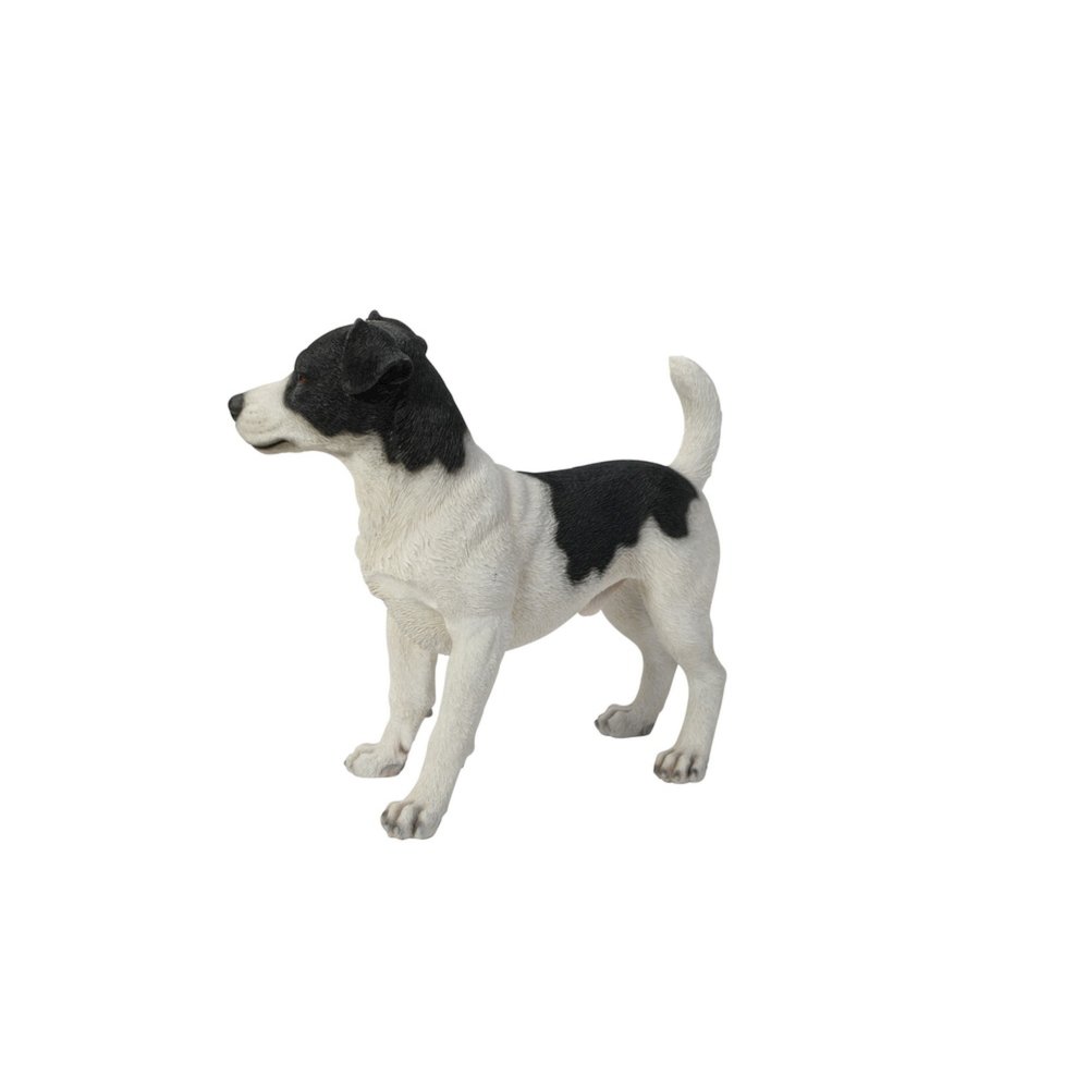 Standing Jack Russell