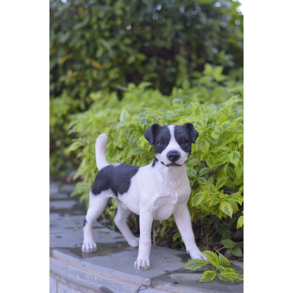 Standing Jack Russell