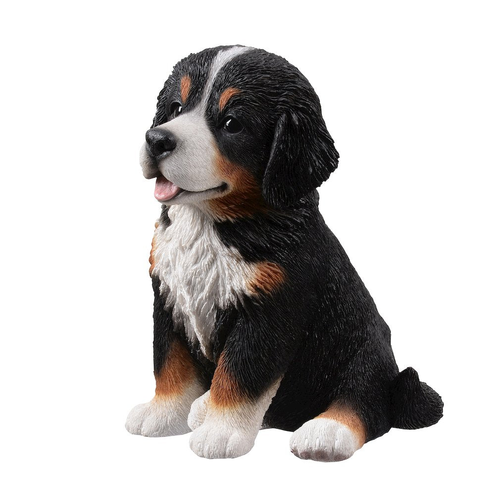 12.5" H Bernese Mountain Puppy Sitting (Hi-Line Exclusive)