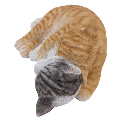 Orange & Grey Tabby Cats Sleeping