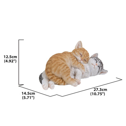 Orange & Grey Tabby Cats Sleeping