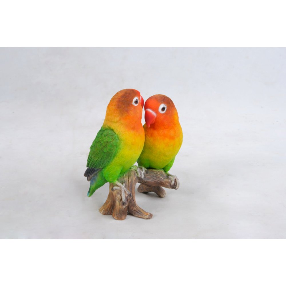 Lovebird Parrots On Branch