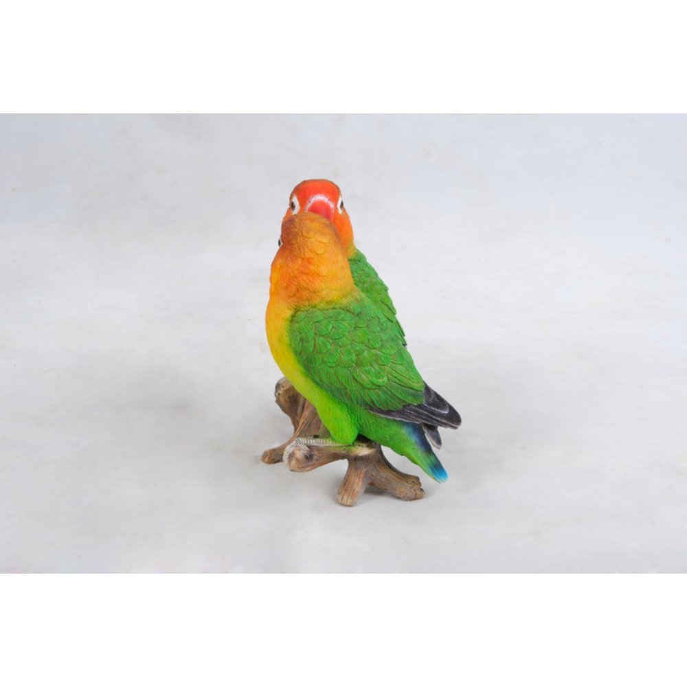 Lovebird Parrots On Branch