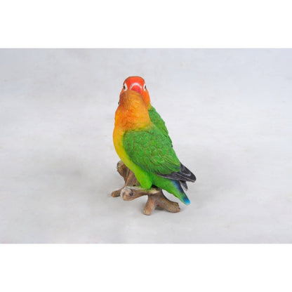 Lovebird Parrots On Branch