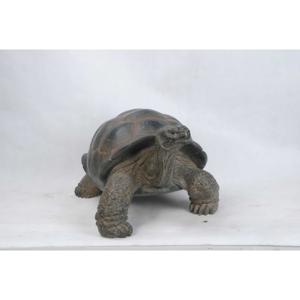 Xl Tortoise