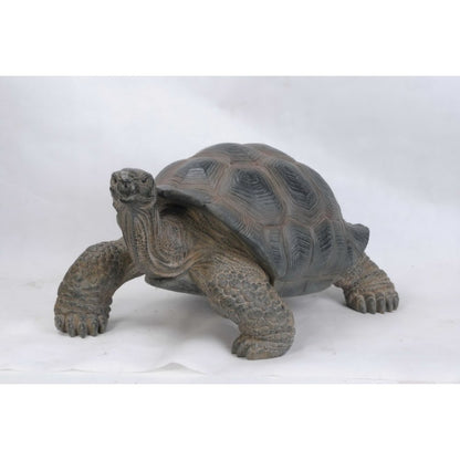 Xl Tortoise