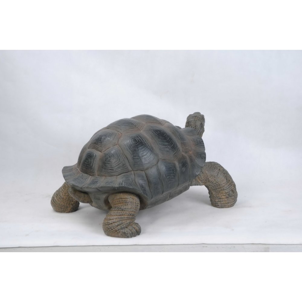 Xl Tortoise
