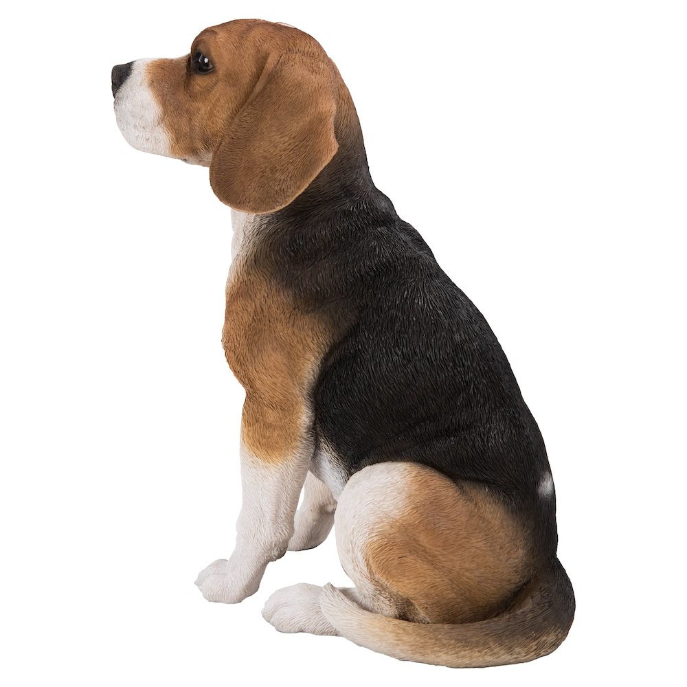 Beagle Dog Sitting