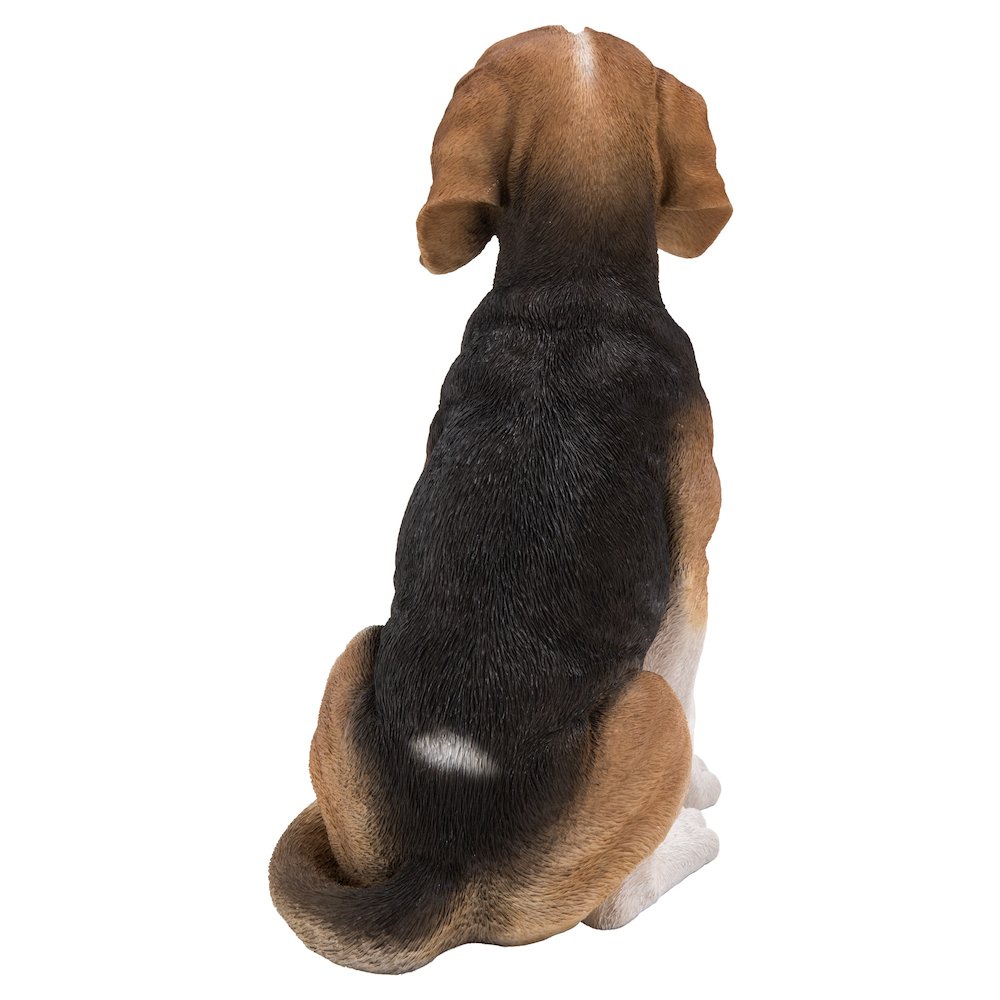 Beagle Dog Sitting