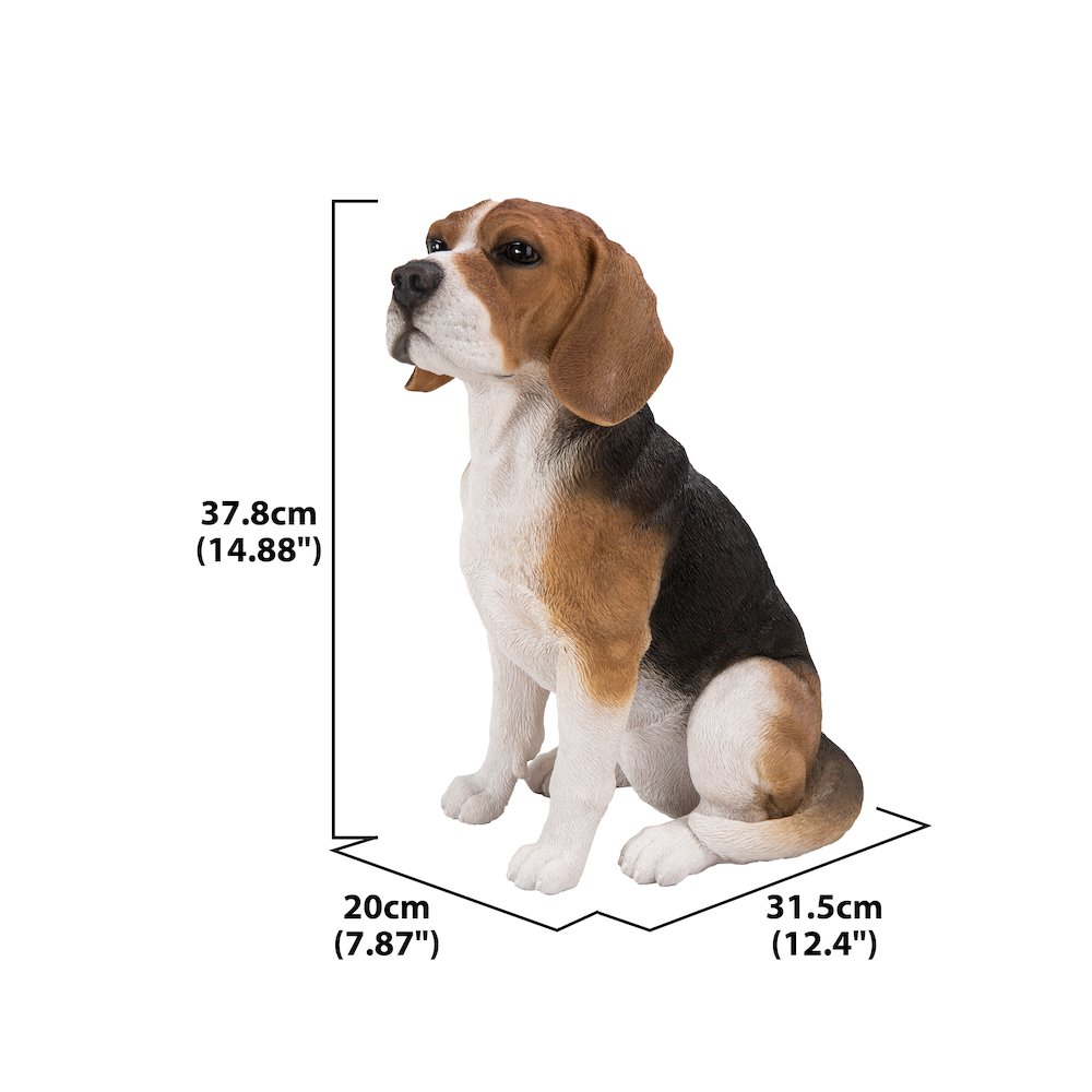 Beagle Dog Sitting