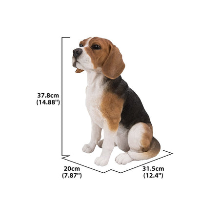 Beagle Dog Sitting