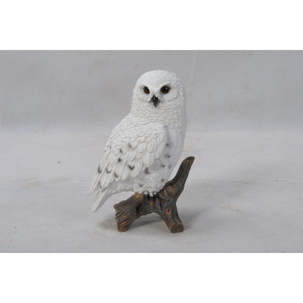 Small Snowy Owl On Stump