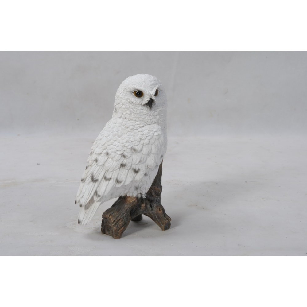 Small Snowy Owl On Stump