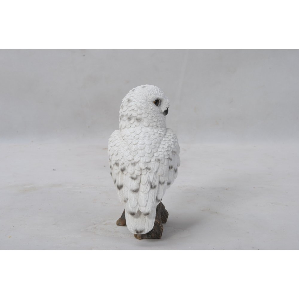 Small Snowy Owl On Stump