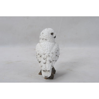 Small Snowy Owl On Stump
