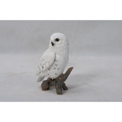 Small Snowy Owl On Stump
