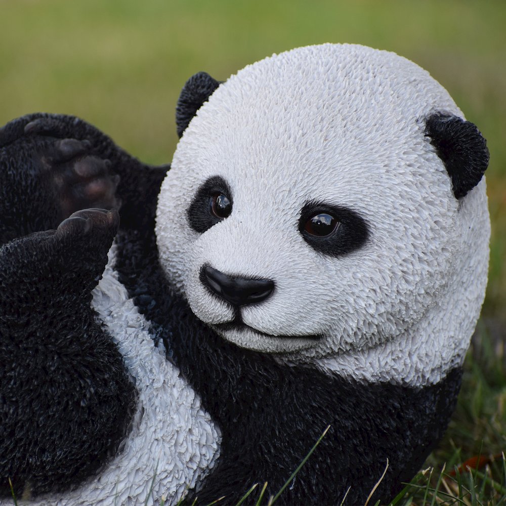 Playing Baby Panda