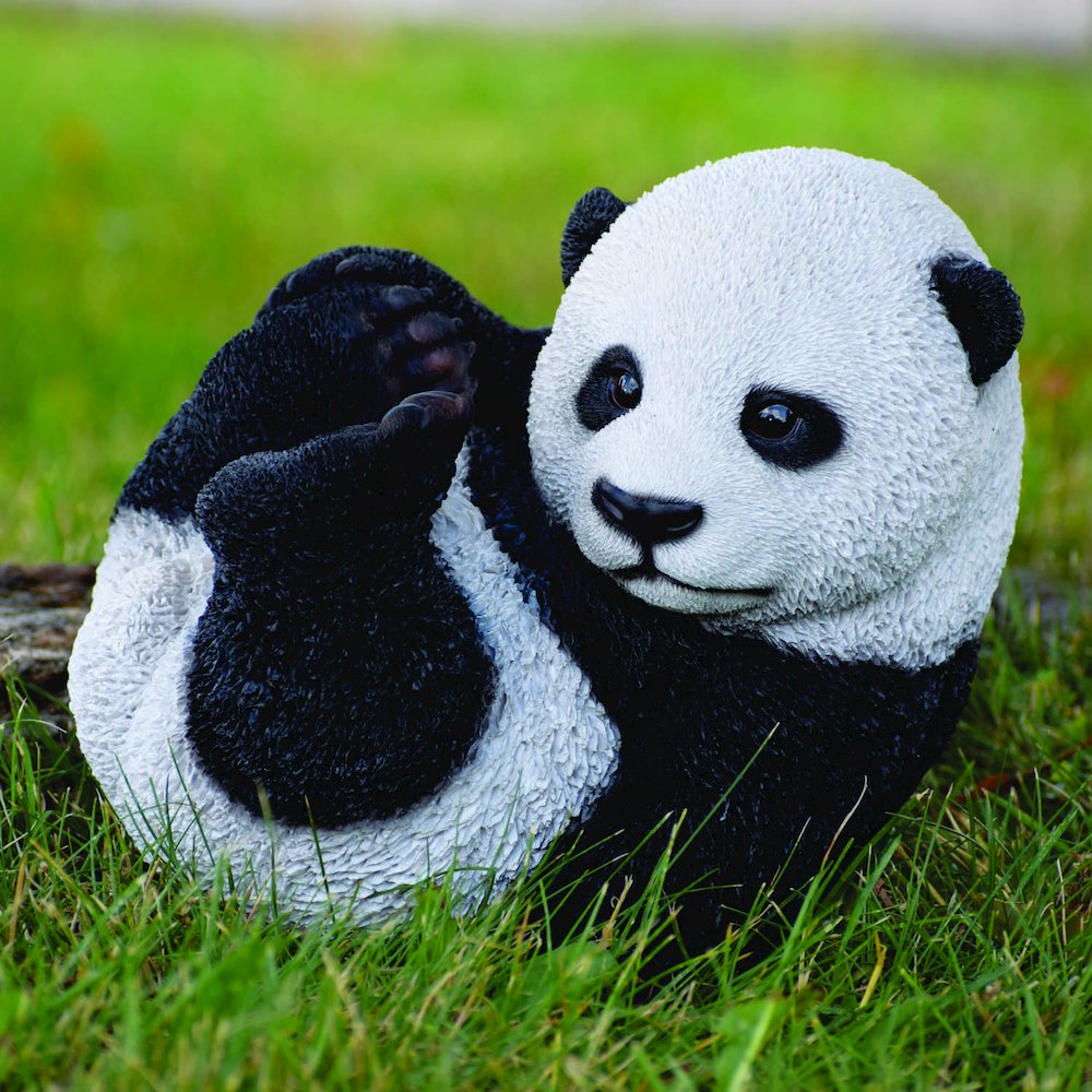 Playing Baby Panda