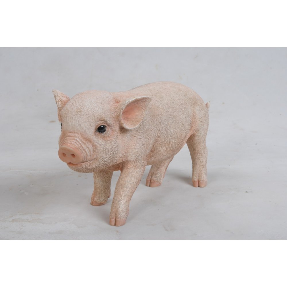 Standing Baby Pig