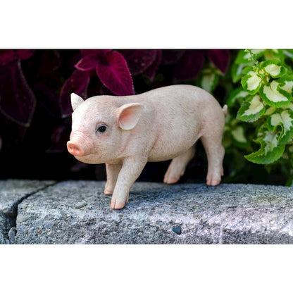 Standing Baby Pig