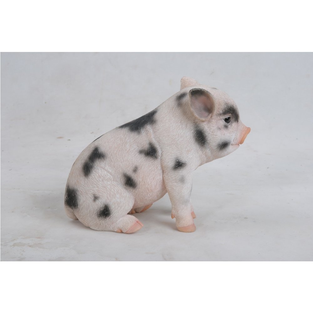 Sitting Baby Pig W/Black Spots