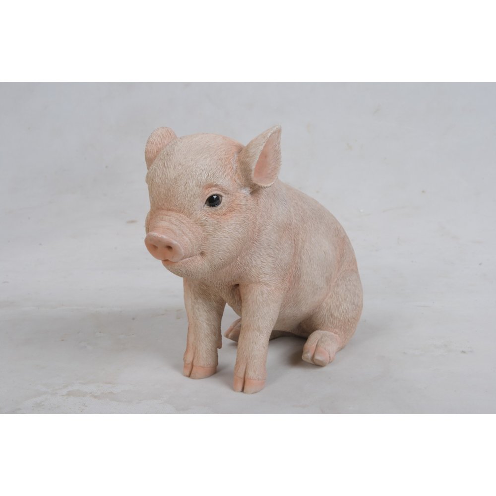 Sitting Baby Pig