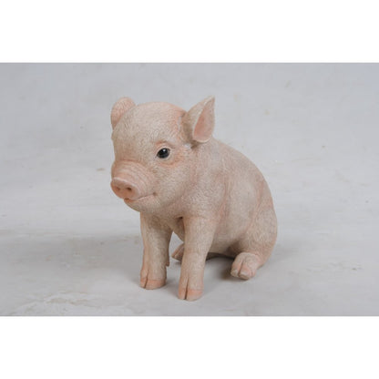 Sitting Baby Pig