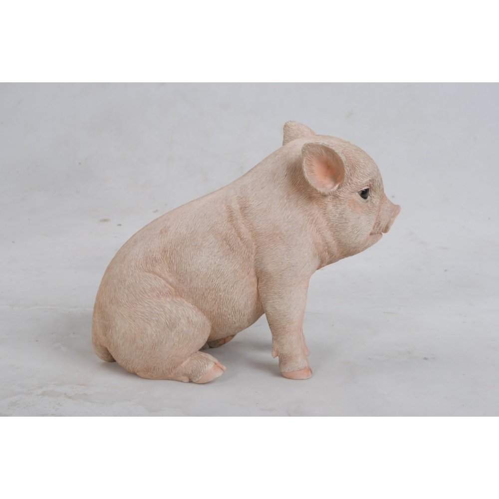 Sitting Baby Pig