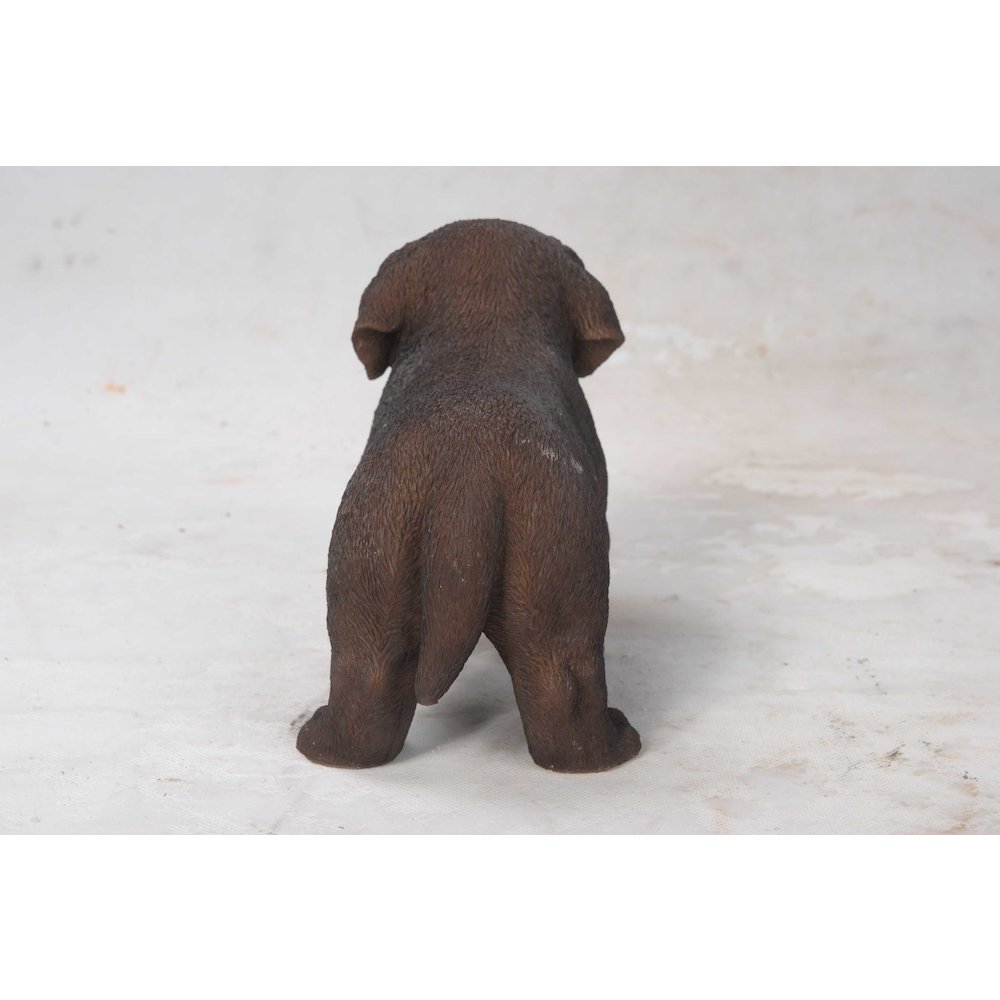 Chocolate Standing Labrador Puppy Statue