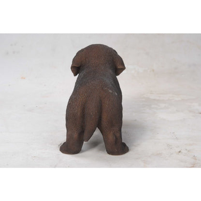 Chocolate Standing Labrador Puppy Statue
