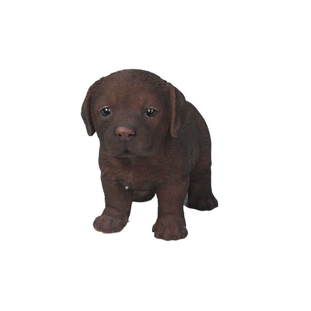 Chocolate Standing Labrador Puppy Statue