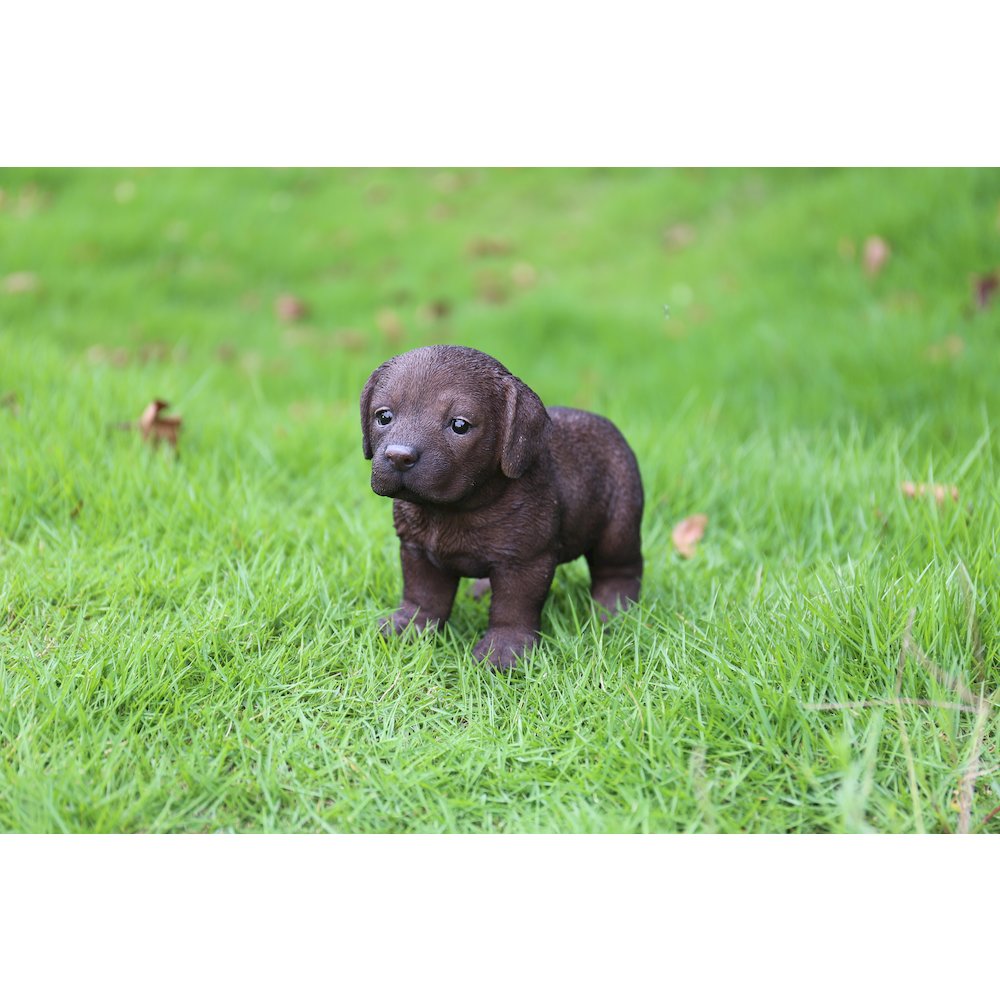 Chocolate Standing Labrador Puppy Statue