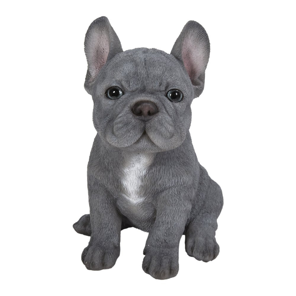 Blue French Bulldog Puppy Sitting Statue