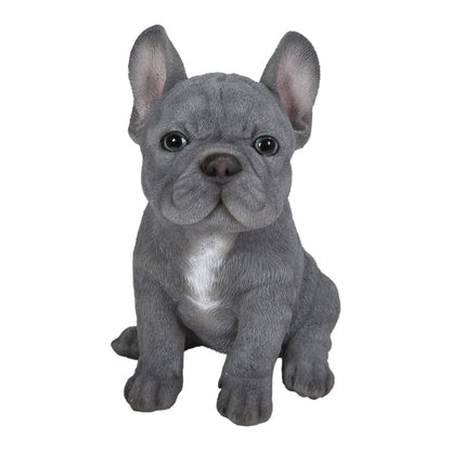 Blue French Bulldog Puppy Sitting Statue