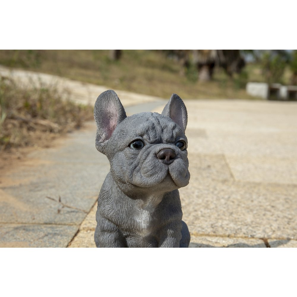 Blue French Bulldog Puppy Sitting Statue