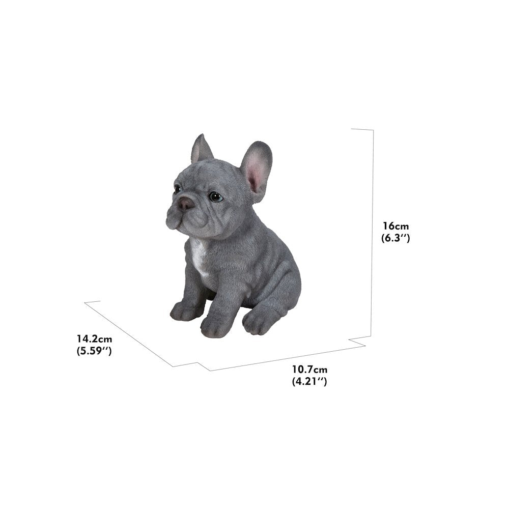 Blue French Bulldog Puppy Sitting Statue