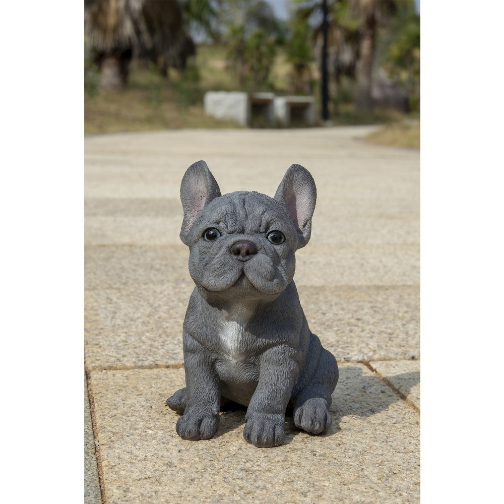 Blue French Bulldog Puppy Sitting Statue